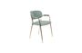 Miniature Jolien Armchair Gold and light green Clipped