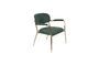 Miniature Jolien Lounge chair with gold and dark green armrests Clipped