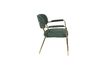 Miniature Jolien Lounge chair with gold and dark green armrests 8