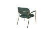 Miniature Jolien Lounge chair with gold and dark green armrests 9