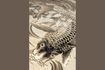 Miniature Koi grey heat-set polypropylene mat 160x230 2