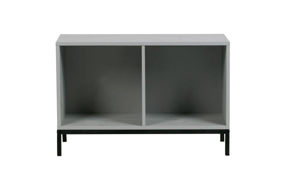 Large cabinet with 2 storage spaces in grey wood Incl Vtwonen