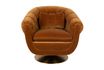 Miniature Member Lounge Chair Whisky 10