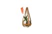 Miniature Oasis planter 12