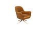 Miniature Robusto Armchair Whisky Clipped