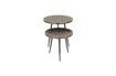 Miniature Set of 2 Flaxieu Brushed Metal Side Tables 3