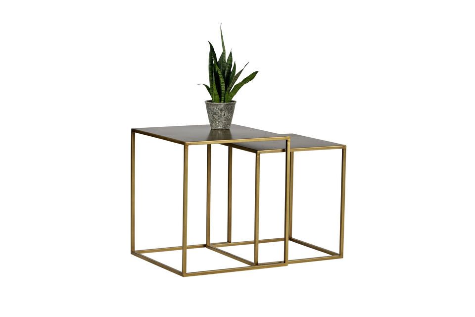 Add a touch of glamour to your space with these golden beauties
