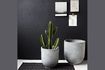 Miniature Set of 2 grey cement planters Gard 1