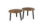 Miniature Set of 2 Mundu coffee tables Clipped