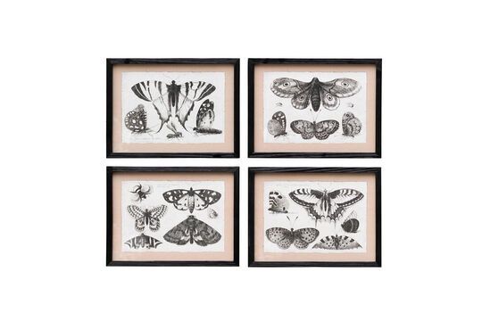 Set of 4 black wooden frames Butterflies Clipped