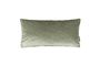 Miniature Spencer Old Green Cushion Clipped