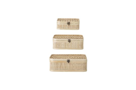 Storage boxes with lid Jach Clipped