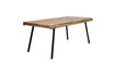 Miniature Suri Table 180X90 9