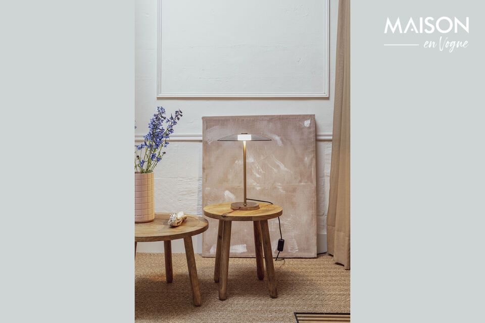 Why settle for the ordinary when you can choose lighting that not only fulfills a function
