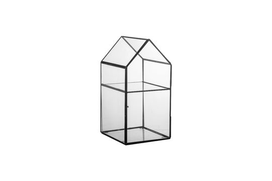 Transparent glass showcase Tiff Clipped