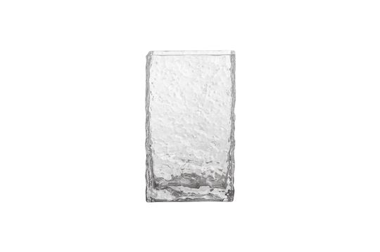Transparent glass vase Remon Clipped