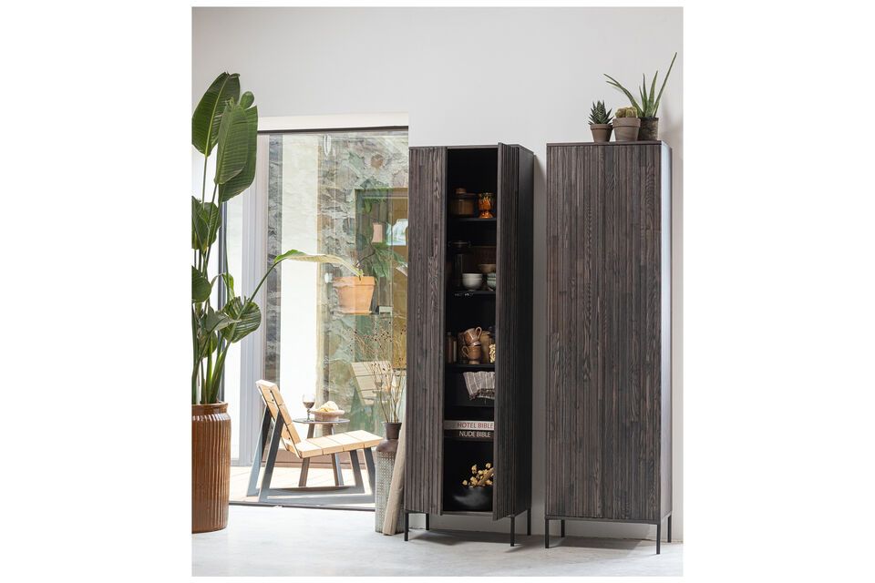 Beautiful black ash cabinet