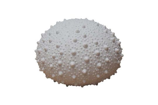 White ceramic table lamp Oursin