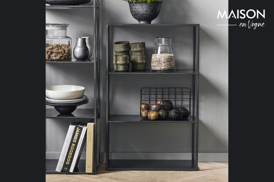 Whether you want to store a lot of everyday items or display a collection