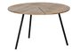 Miniature Wood and metal table Rodi Clipped