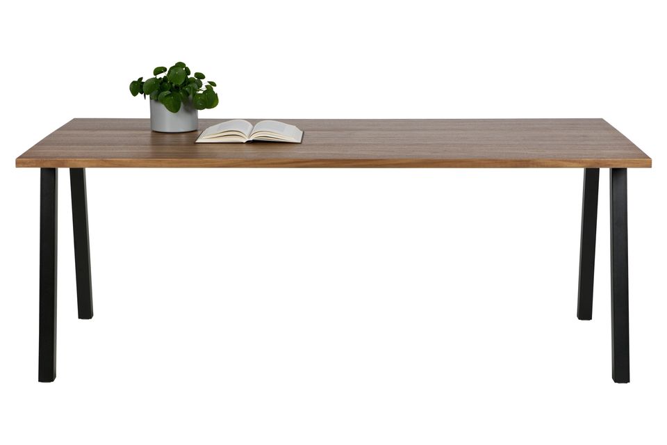 Dining room table, walnut veneer and steel, practical and aesthetic