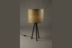 Miniature Woodland table lamp 10