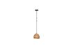 Miniature Woody Mango Tree Suspension 9